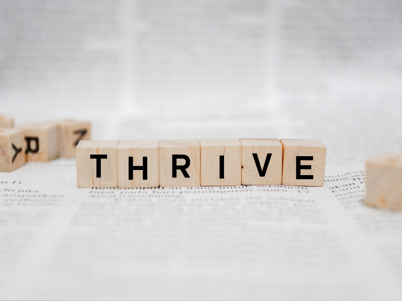 Intentional Leadership: The Key to Thriving as a Great Leader